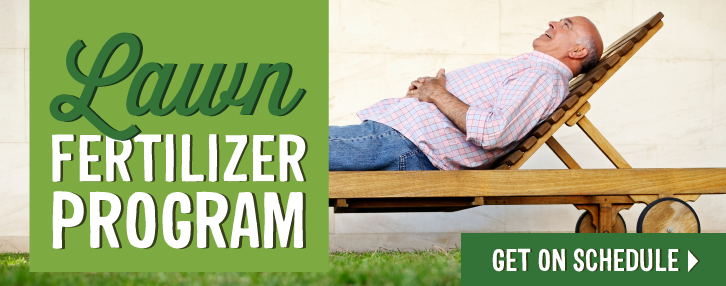  Lawn Fertilizer Program