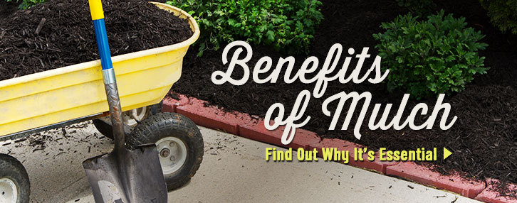  Benefits of Mulch