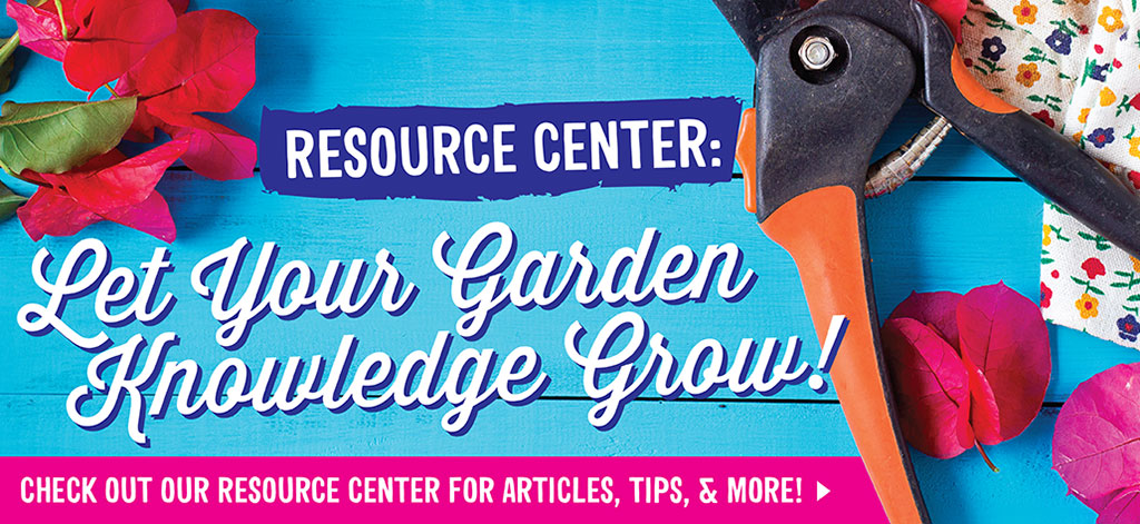 Let Your Garden Knowledge Grow
