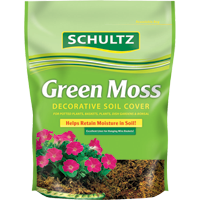 Schultz Green Moss - Decorative Soil Cover
