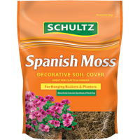 Schultz Spanish Moss - Decorative Soil Cover