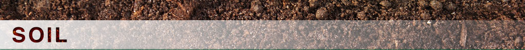 Speciality Soil Products